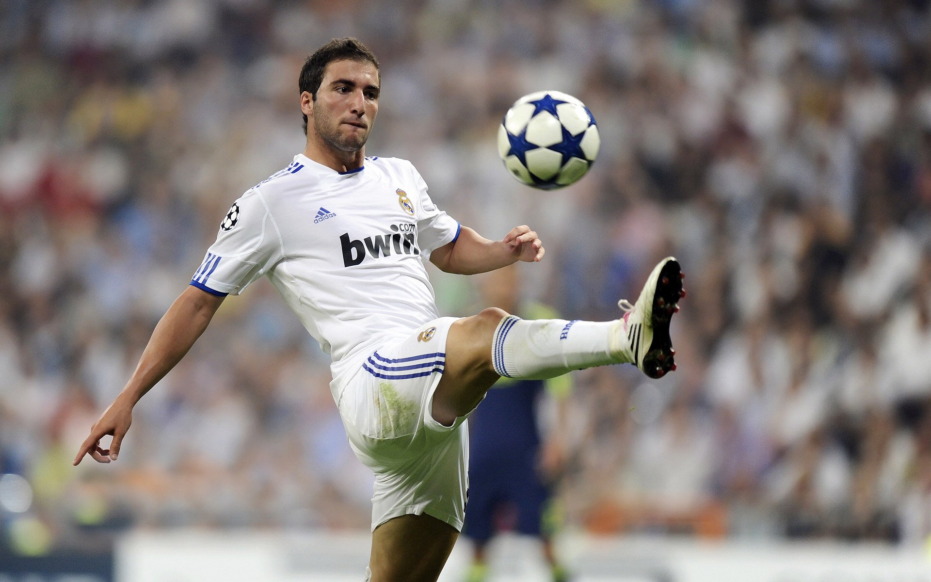 女足世界杯赛后影响力分析，女足世界杯名单上篇